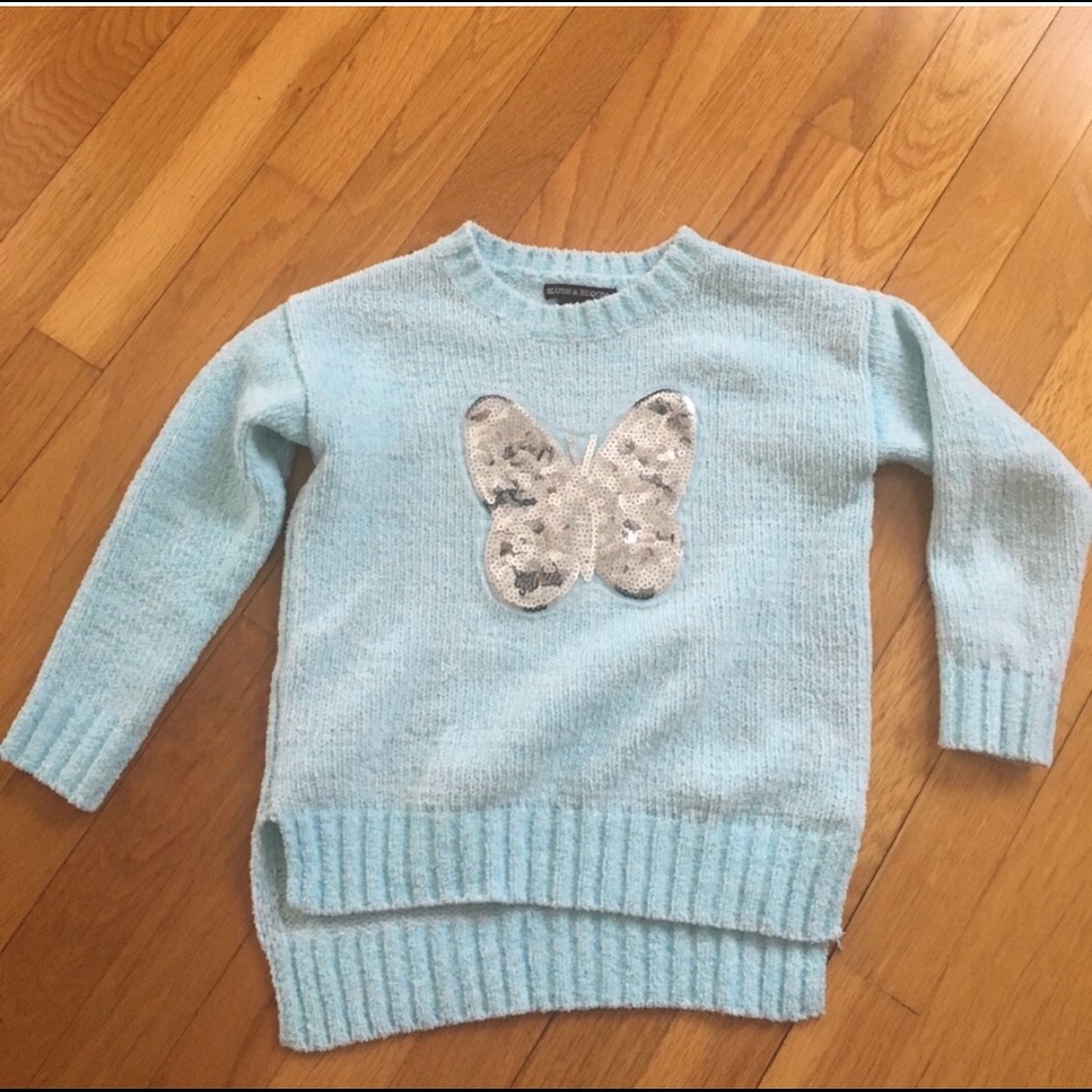 Soft chenille sweater top with sequin butterfly